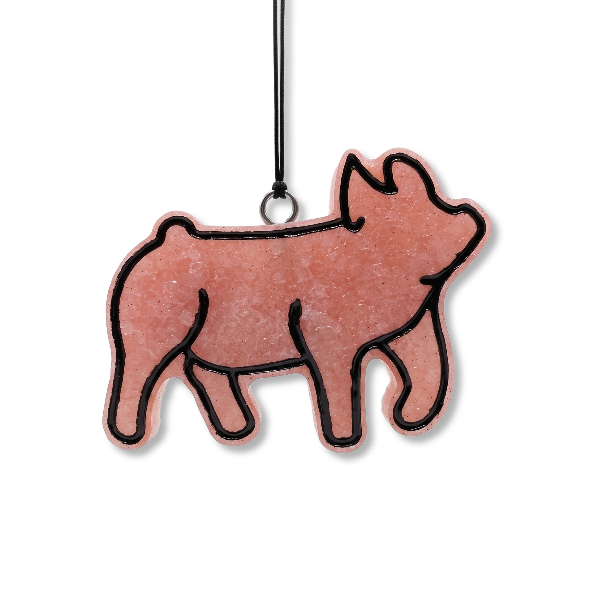 Pig